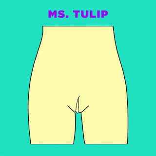 Tipos de vaginas - qual será o seu? Ms. Tulip