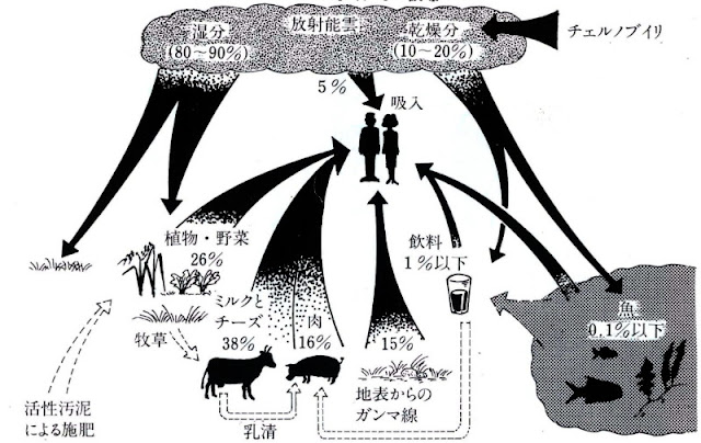 放射能による被曝