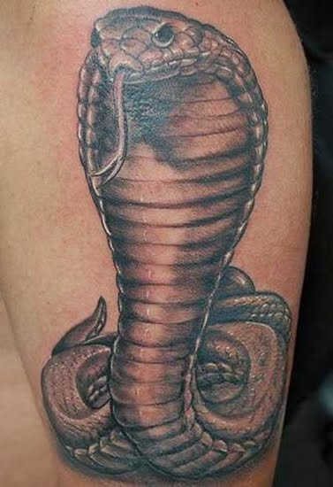 Snake Tattoo Pictures Best