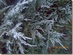 DSCN2021