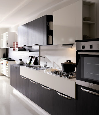 Modern Kitchen Cabinets