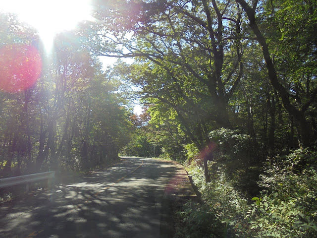 158号道路大山口停車場大山線を昇ります