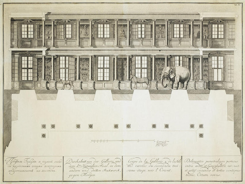 Section of the Hall with Two Tiers of Windows in the Kunstkammer by Christian-Albrecht Wortmann - Architecture, Interiors art prints from Hermitage Museum