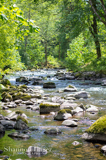 Shannon Hager Photography, Portland Oregon, Wahclella Falls Hike