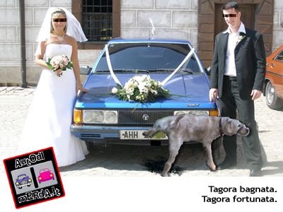 talbot tagora