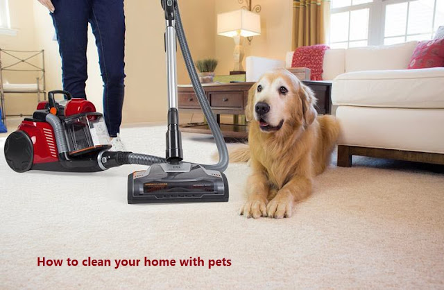 how to keep your house clean with pets,how to keep a house clean with pets,clean home with pets,clean with me,how to keep your home clean with pets,pets,how to clean a house with pets,keeping your house clean with a dog,ways to keep a clean home with pets,how to clean,clean,how to clean hardwood floors with pets,how to clean house having pets