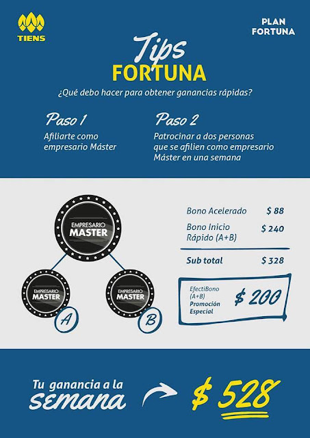 Tips Plan Fortuna