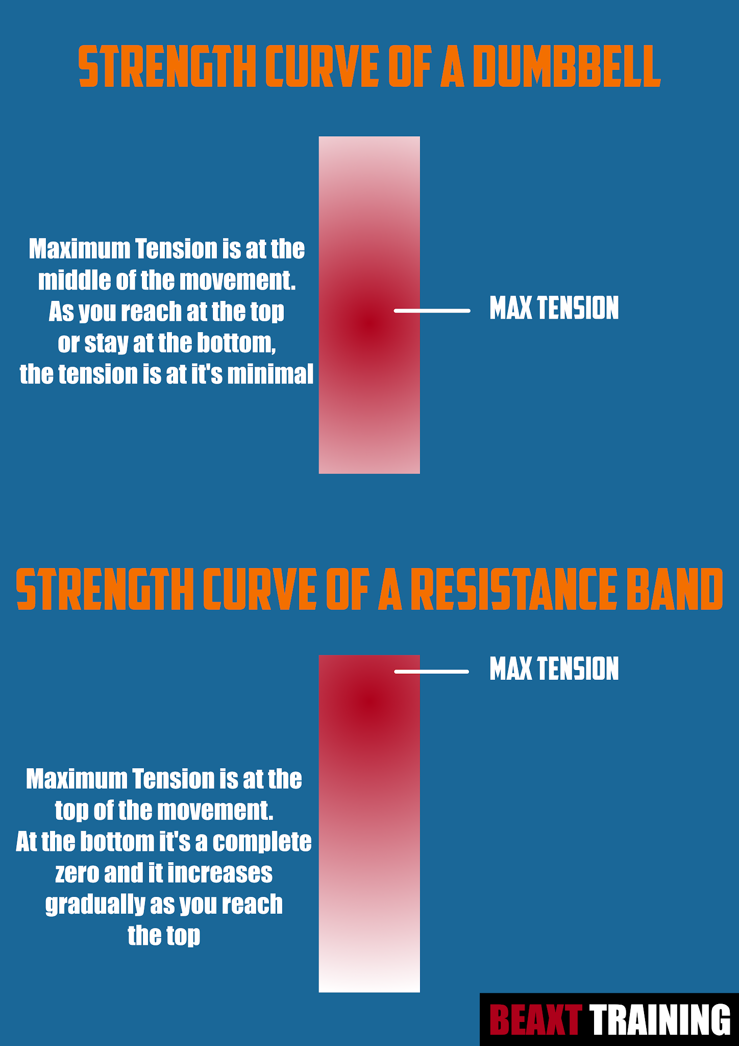 Resistance Band Strength Curve vs Dumbbells Strength Curve