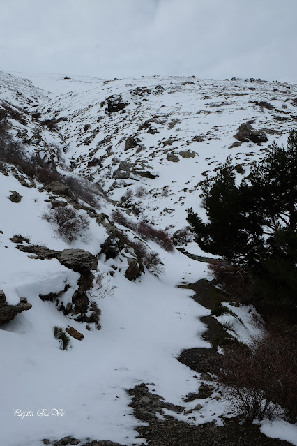 Jérez del Marquesado - Vereda de la Cuesta Colorá - Barranco el Bernal - ventisquero - nieve