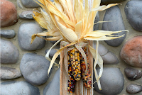 indian corn decor