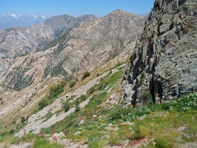 Поход на гору Олам Джахон, хребет между Варзобом и Ромитом, Таджикистан