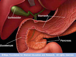 pancreatic cancers, pancreatic cancer survival, what is the treatment for pancreatic cancer, treatment of pancreatic cancer, treatment pancreatic cancer, pancreatic cancer treatment, treatment for pancreatic cancer, survival rate of pancreatic cancer, survival rate pancreatic cancer, survival rate for pancreatic cancer, pancreatic cancer survival rate, pancreas cancer survival rate, survival rates pancreatic cancer, survival rates of pancreatic cancer, survival rates for pancreatic cancer, pancreatic cancer survival rates, causes for pancreatic cancer, what are the causes of pancreatic cancer, causes of pancreatic cancer, pancreatic cancer causes of, pancreatic cancer causes, what causes pancreatic cancer, causes pancreatic cancer, pancreatic cancer cause, the cause of pancreatic cancer, what cause pancreatic cancer, cause pancreatic cancer, cause of pancreatic cancer, stage 4 pancreatic cancer, pancreatic cancer stage 4, prognosis for pancreatic cancer, prognosis of pancreatic cancer, pancreatic cancer prognosis, prognosis pancreatic cancer, what is the prognosis of pancreatic cancer