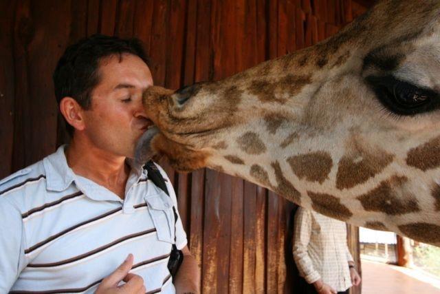 Funny Pictures of Kissing