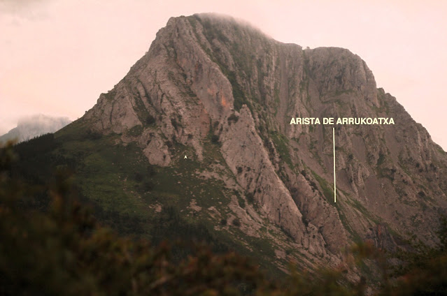 Arista de Arrukoatxa