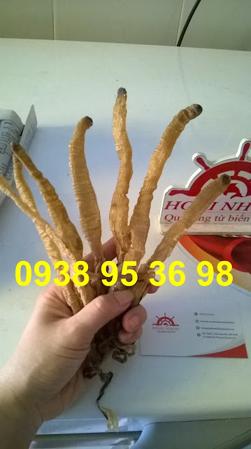 Sỉ lẻ sá sùng khô, khô trùn biển giá rẻ chất lượng 0938 95 36 98 Mua khô sá sùng giá rẻ Sài Gòn, bán khô trùn biển, sá sùng khô giá rẻ nhất thị trường, giá mua khô sá sùng chất lượng, bán trùn biển giá tốt, mua trùn biển khô nấu phở, giá bán khô trùn biển ở Sài Gòn,...  Hoài Nhơn 0938 95 36 98  Sá sùng khô - khô trùn biển, giun biển dùng để ngâm rượu bồi bổ sức khỏe, tăng cường sinh lực, chữa bệnh; sá sùng khô - khô trùn biển nướng; khô sá sùng nấu phở, trùn biển khô nấu súp,... (nước lèo) cho ngọt nước;...