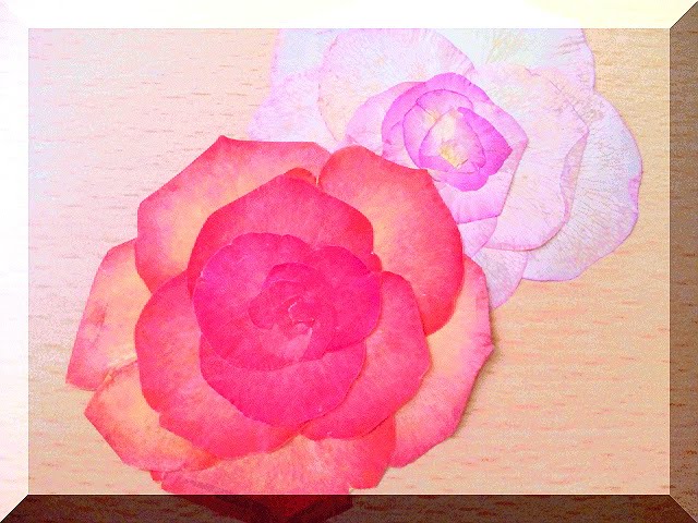 バラの押し花 正面の組み立て