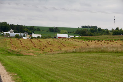 Driftless Area farm fields