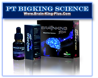 http://www.brain-king-plus.com/