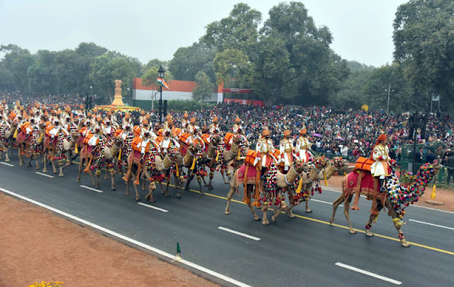 The BSF Camel Contingent