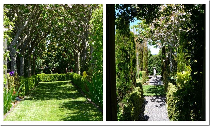 PicMonkey Collage5