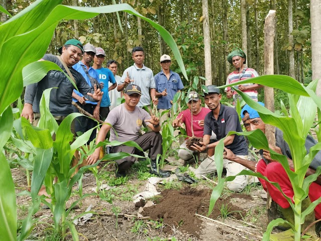 Reboisasi Lahan Eks AWB Di Pimpin Kapolsek Pekat