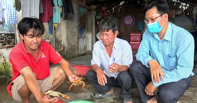 Cua Cà Mau chết rải rác trên diện tích hơn 12.000 <a href=