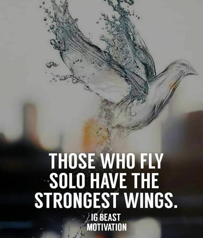 THOSE WHO FLY SOLO HAVE THE STRONGEST WINGS.