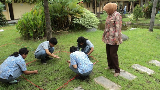 Contoh Makalah Biologi Pertumbuhan Kacang Hijau