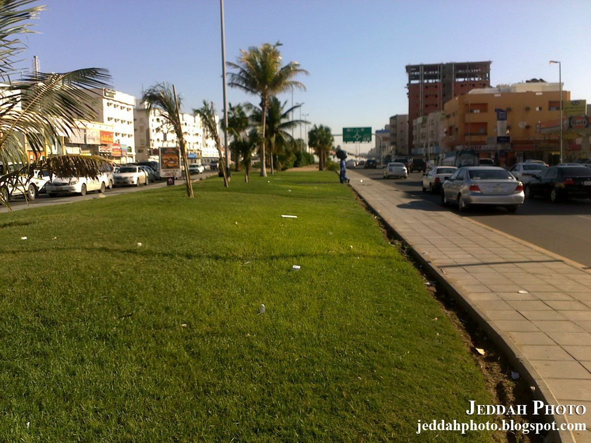 Jeddah Photo Blog: Green Beauty of Jeddah