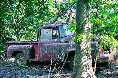 Alrededores de Tlapacoyan, Veracruz