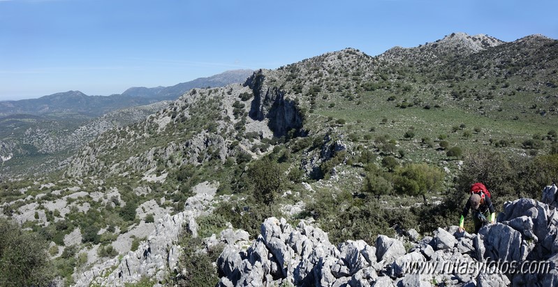 El Cintillo - Sierra Baja de Ubrique - Paso del Bombo - Ubrique - Cañada de los Pernales