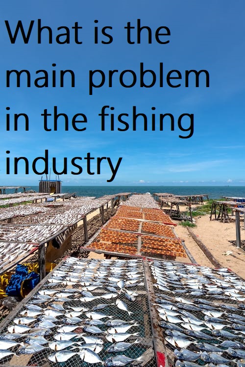 What is the main problem in the fishing industry? Health Care 