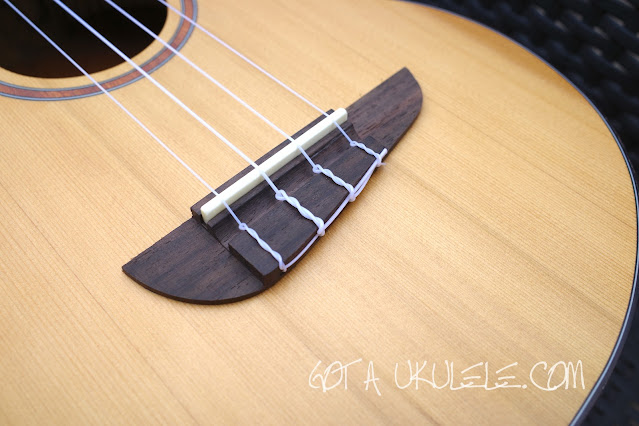 Eko Evo Cedar Top Tenor Ukulele bridge