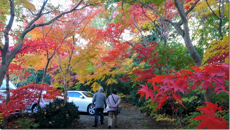 小林モミジ園さらに美しい紅葉