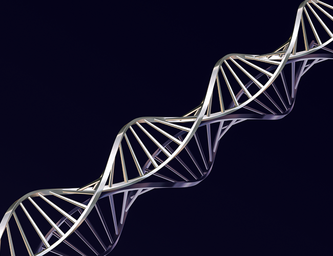 كيف يتم استنساخ الحمض النووي لملايين النسخ!