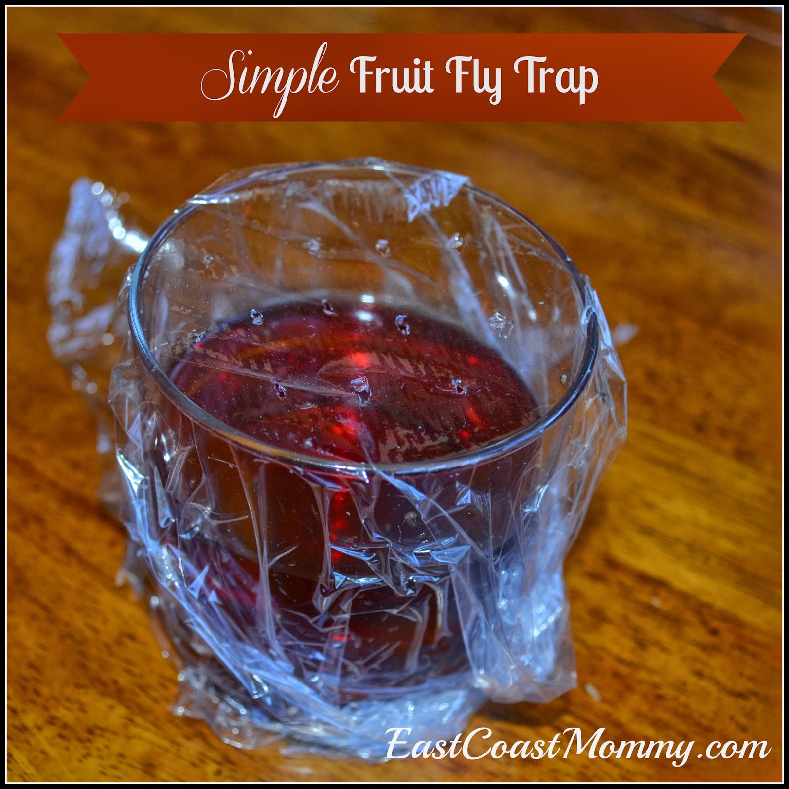 How To Get Rid Of Fruit Flies In House