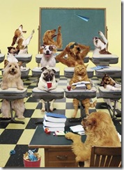 animals_in_class_room_funny