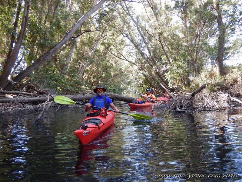 Kayak río Palmones