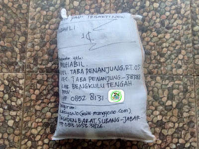 Benih padi yang dibeli   MUHABIL Bengkulu Tengah, Bengkulu.  (Setelah packing karung).