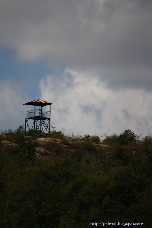 Watch Tower