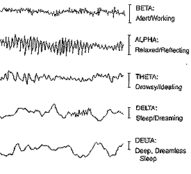 beta waves