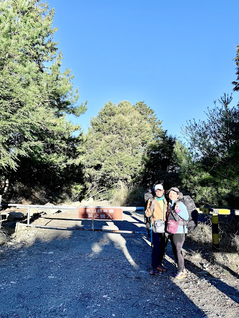 230林道登山口 230林道登山口