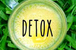 Mengenal apa itu diet detox