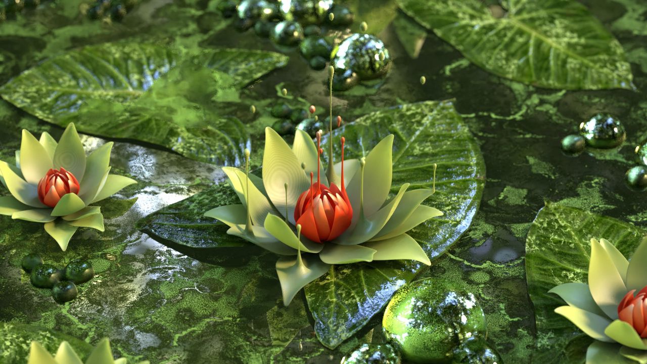 Wallpaper Water Lily Lotus Flower