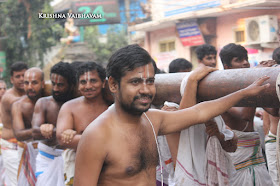 Sesha vahanam,Day 02,Brahmotsavam, Thiruvallikeni, Sri PArthasarathy Perumal, Temple, 2017, Video, Divya Prabhandam,Utsavam,
