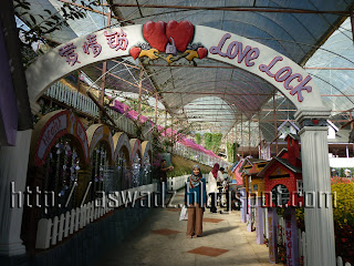 lavender garden, cameron highlands, love lock