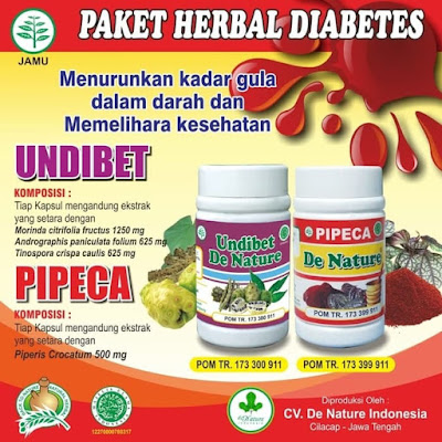 obat diabetes undibet pipeca
