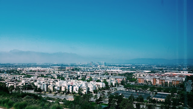 LMU Library View