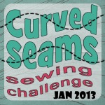 Curved Seams Challenge Homepage