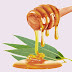 Eucalyptus Honey | Sufaida in URDU | LACHI in Pushto